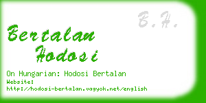 bertalan hodosi business card